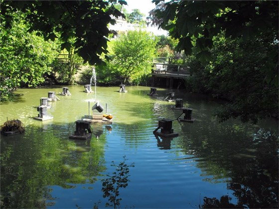 Pond