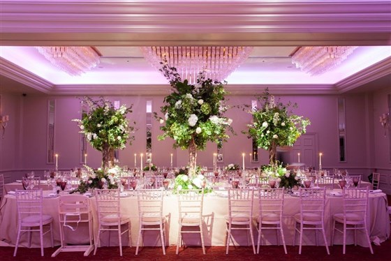 St Albans Wedding