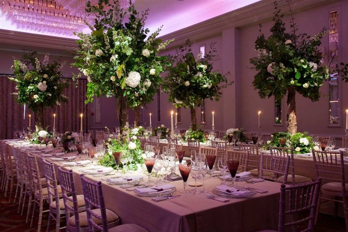St Albans Wedding