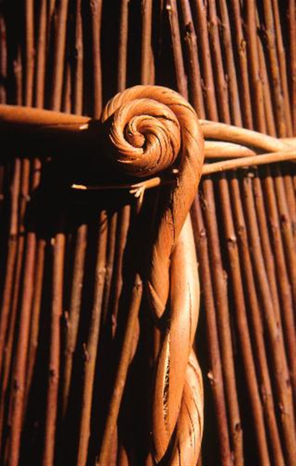 Willow rose knot 