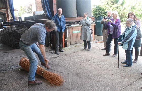 See how we process willow. 
