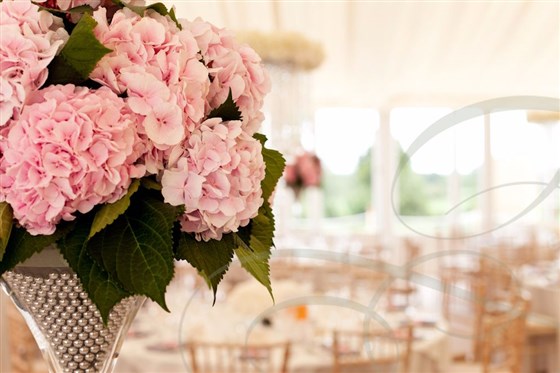 Keythorpe Manor Weddings
