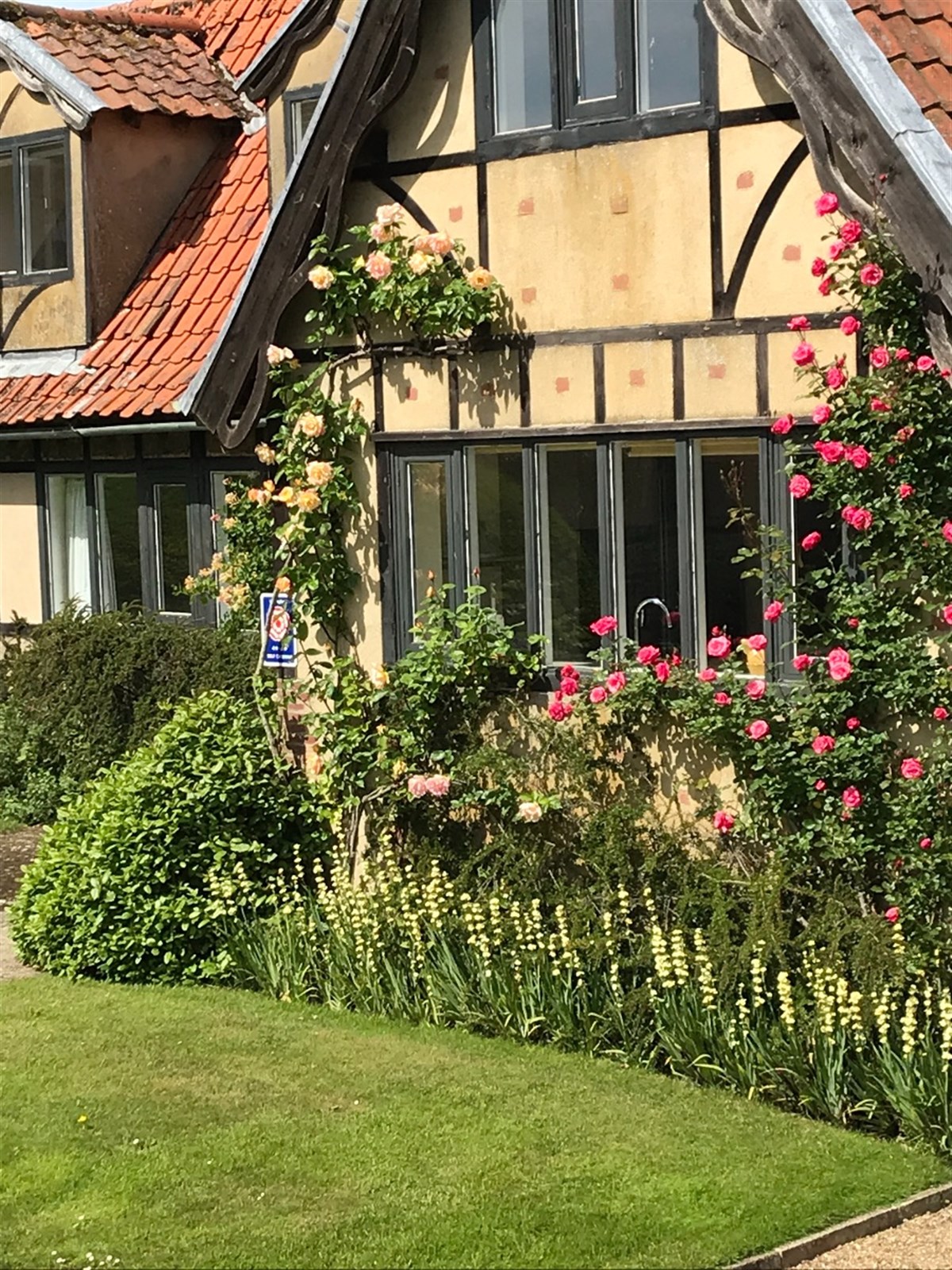 Roses growing up the front of Moat House