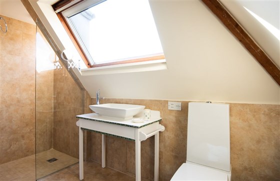 Walk in shower in the modern bathroom