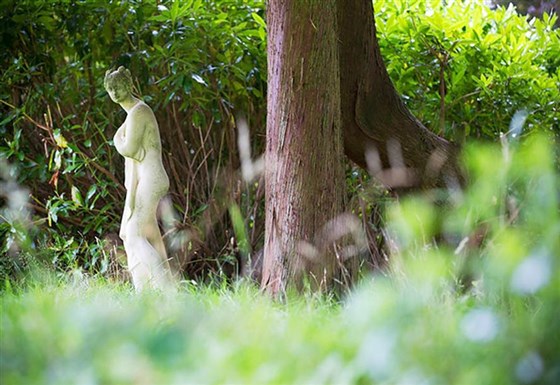 Extensive Grounds