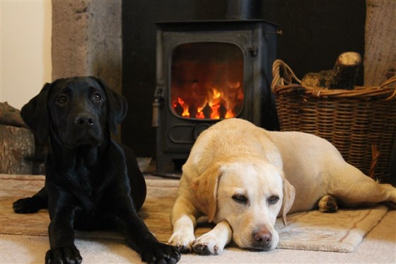 Ash / Hawthorn, each cottage sleeps x 4