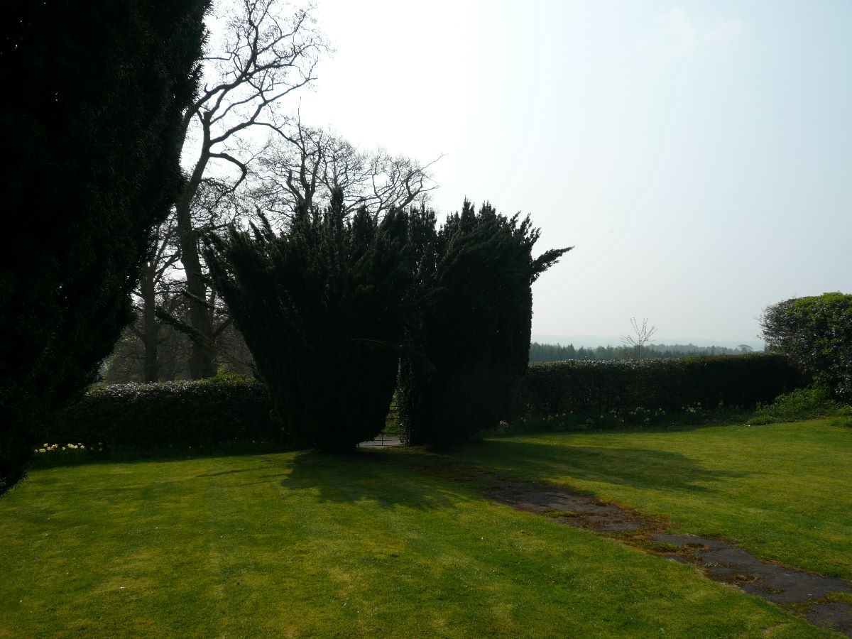 Yew Tree view