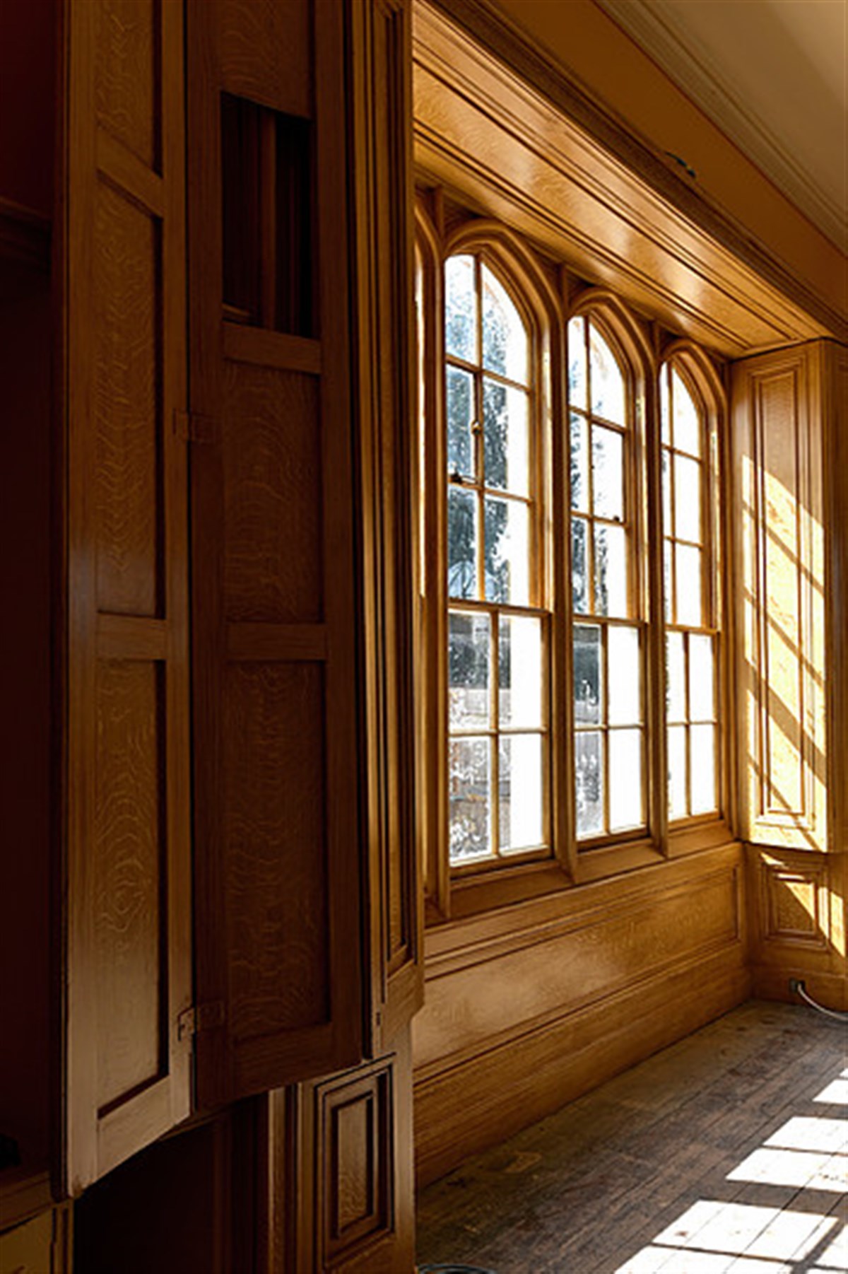 The Library