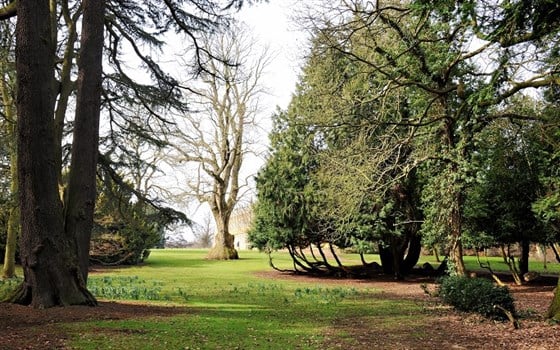 Parkland view