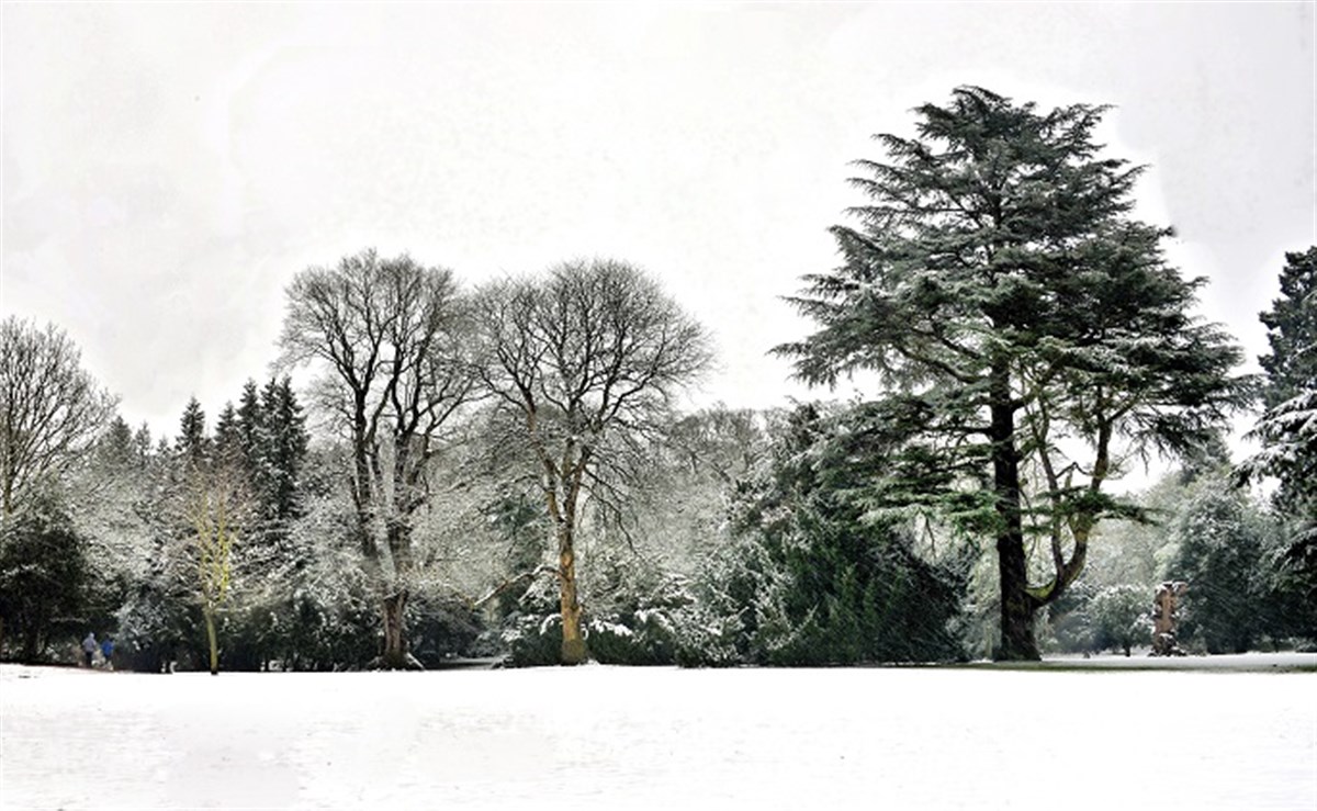 Winter at Delapré Abbey