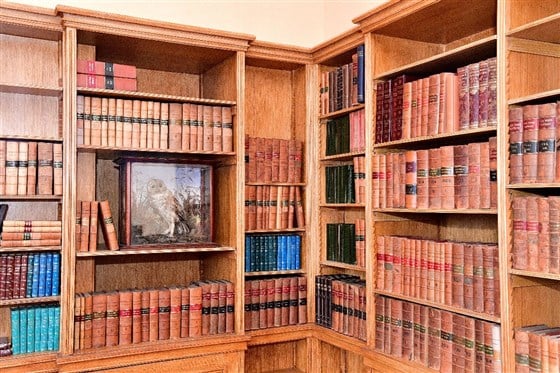 Bookshelves in the Library
