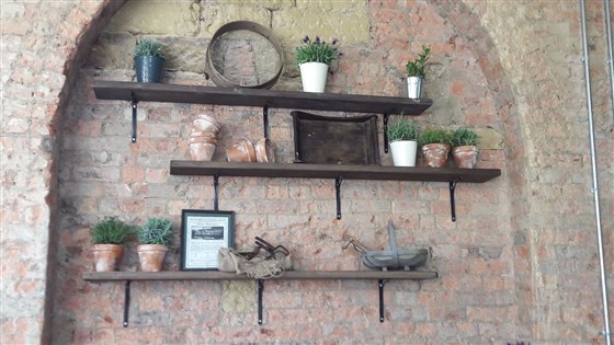 Feature wall in the Conservatory Café