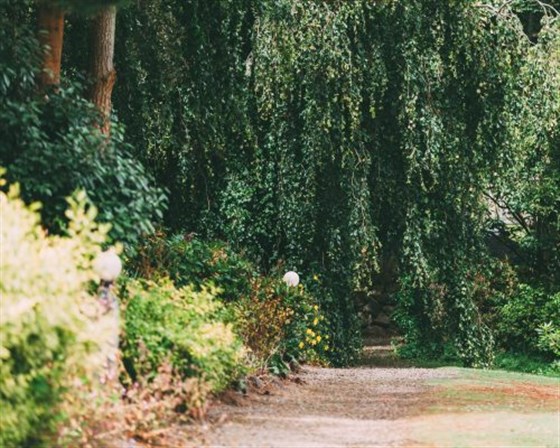 Tregenna grounds