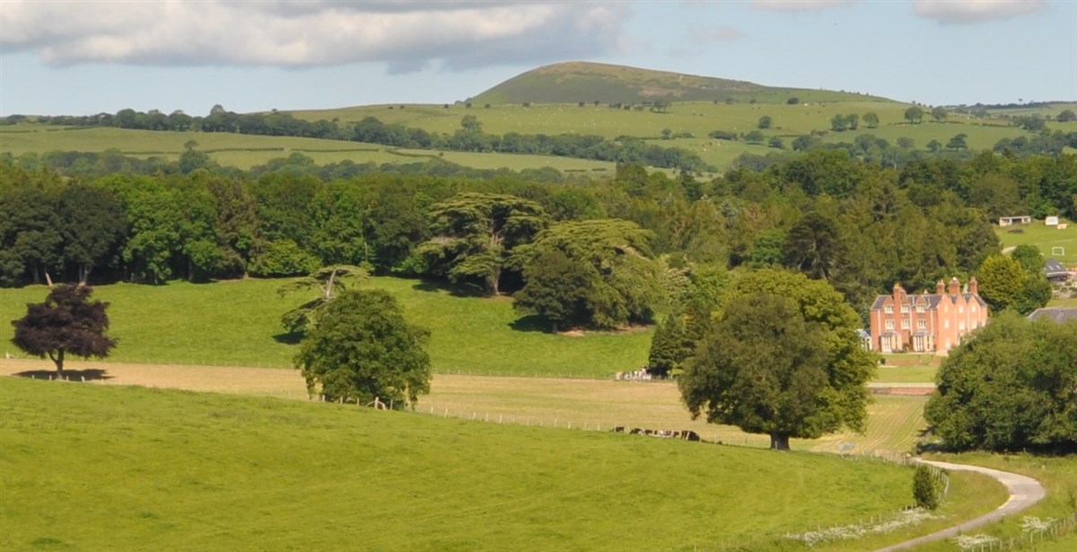Stately Wedding Venue