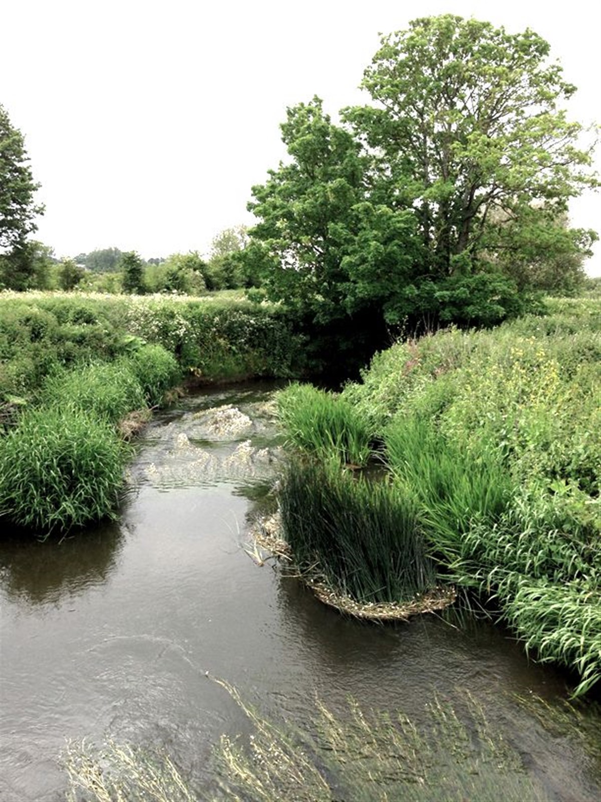 Local walks