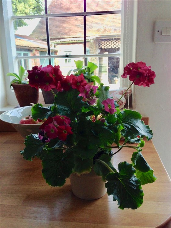 In the kitchen