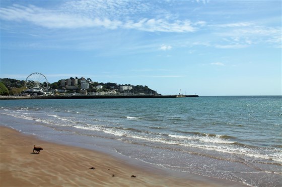 Local Area - Belgrave Sands Hotel & Spa 