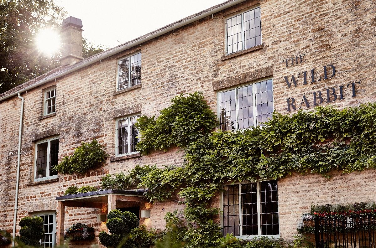 The Wild Rabbit 