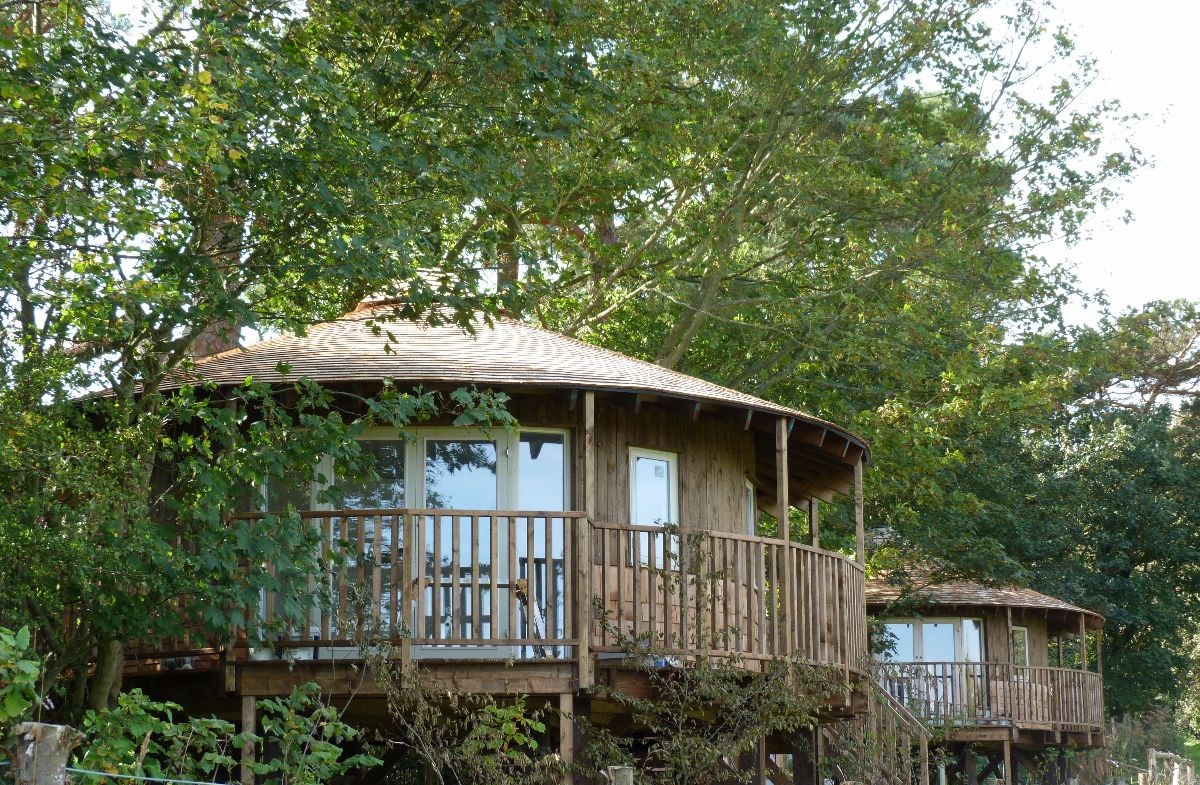 Eco-lodge Tree House