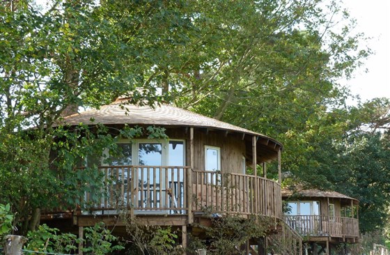 Eco-lodge Tree House