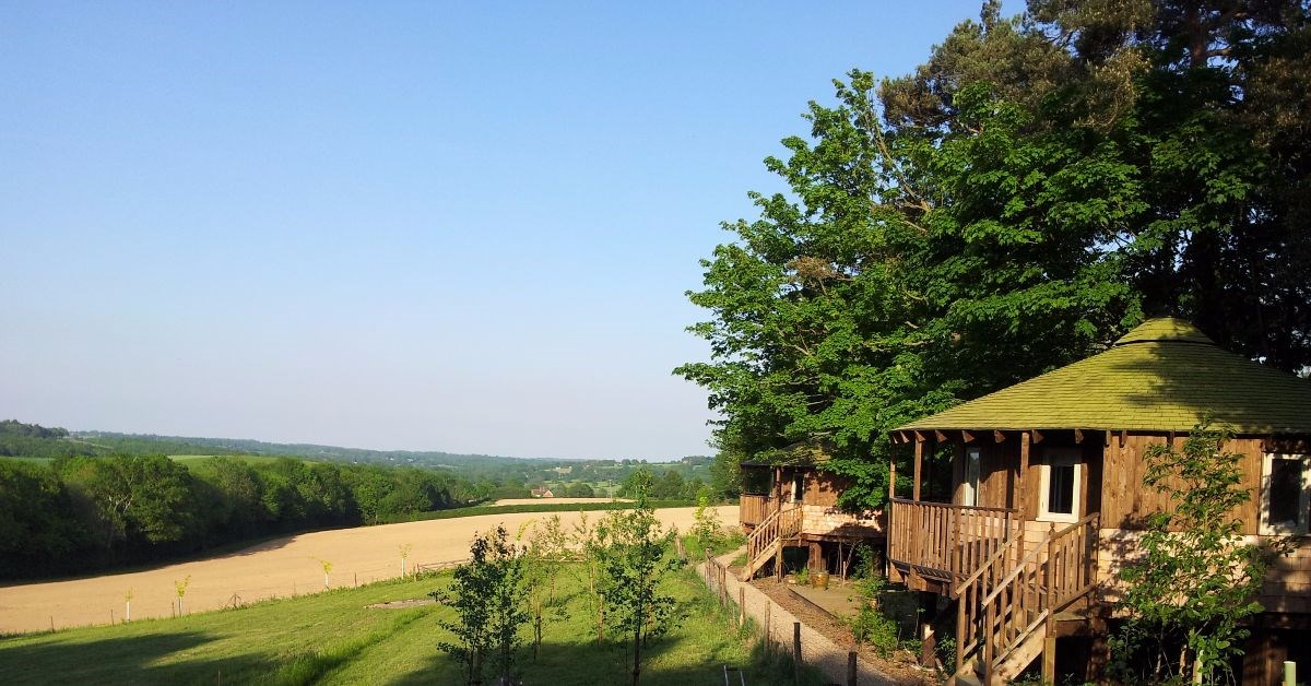 Eco-lodge tree house - view