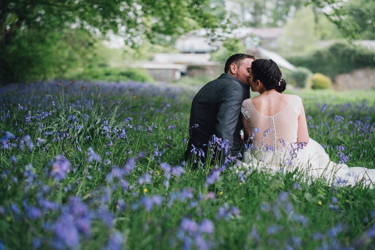 Bluebells in the wild orchard
