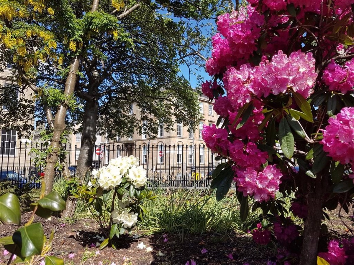 Blythswood Square Gardens