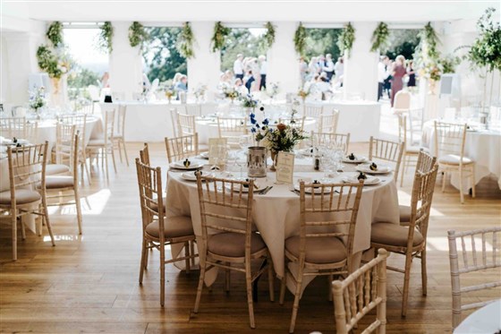 The Belvedere Reception