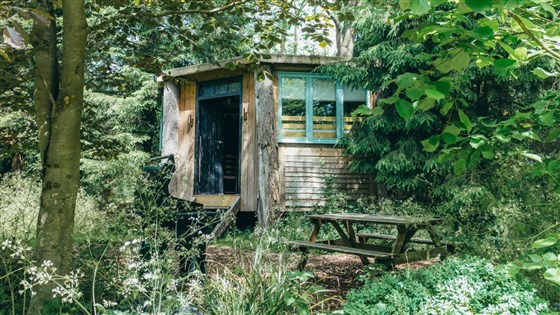 Tree temples sit closer to the ground