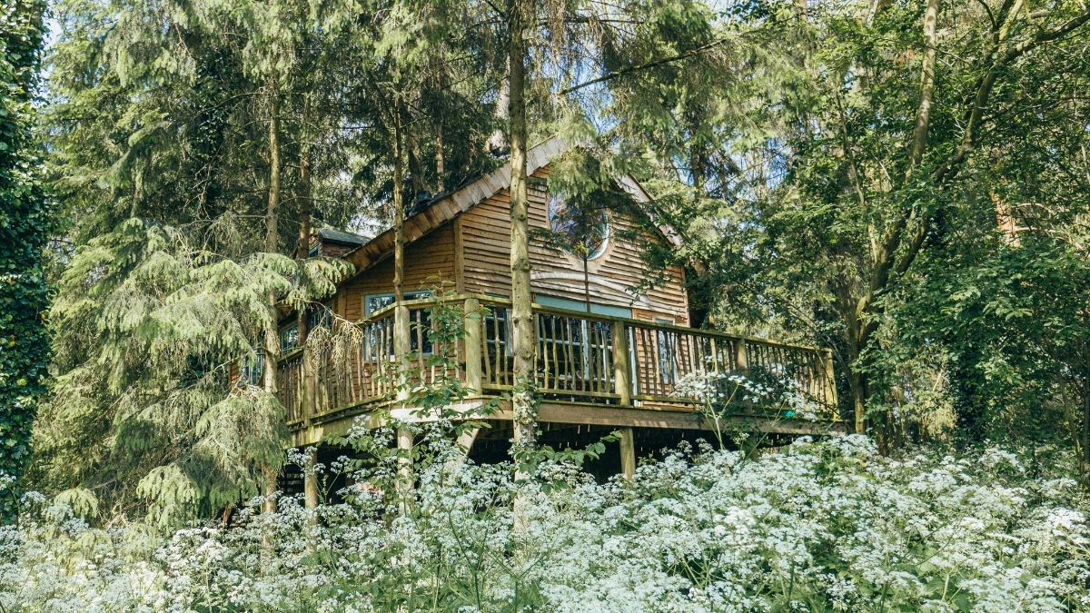Treehouses at West Lexham photo 5