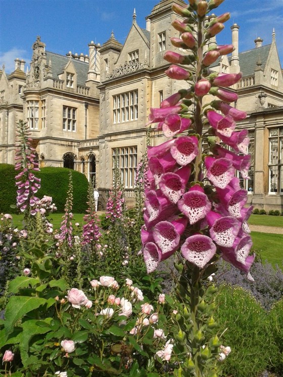 Stoke Rochford Hall 