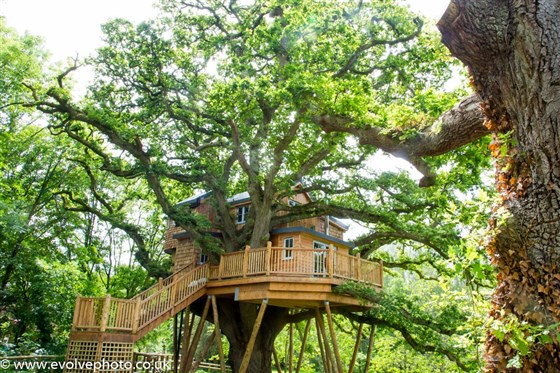 Treehouse rear