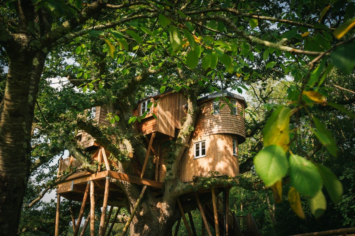 Treehouse exterior