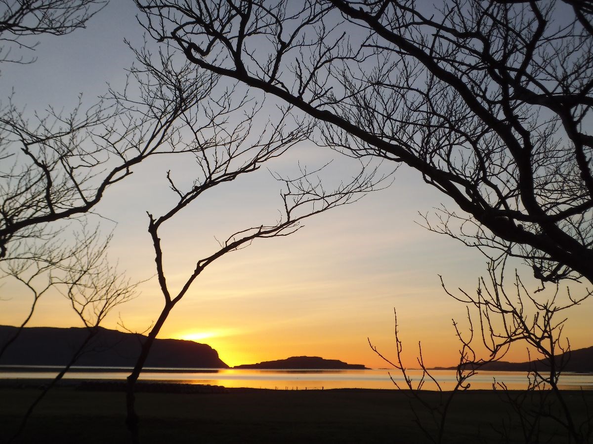 Sunset through the trees