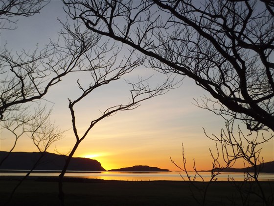Sunset through the trees
