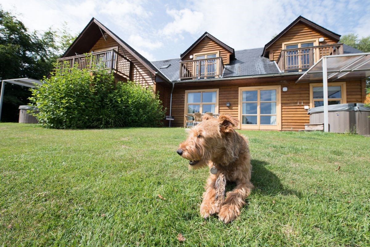Dog friendly lodge