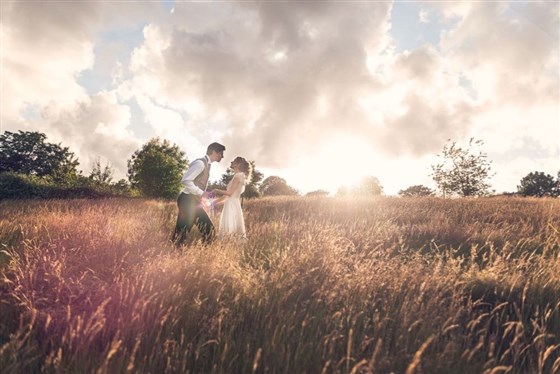 Summer meadow