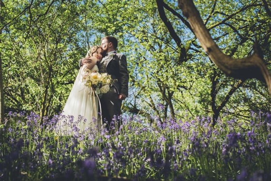 Bluebell woods