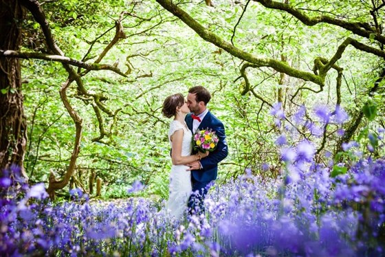 Bluebell woods