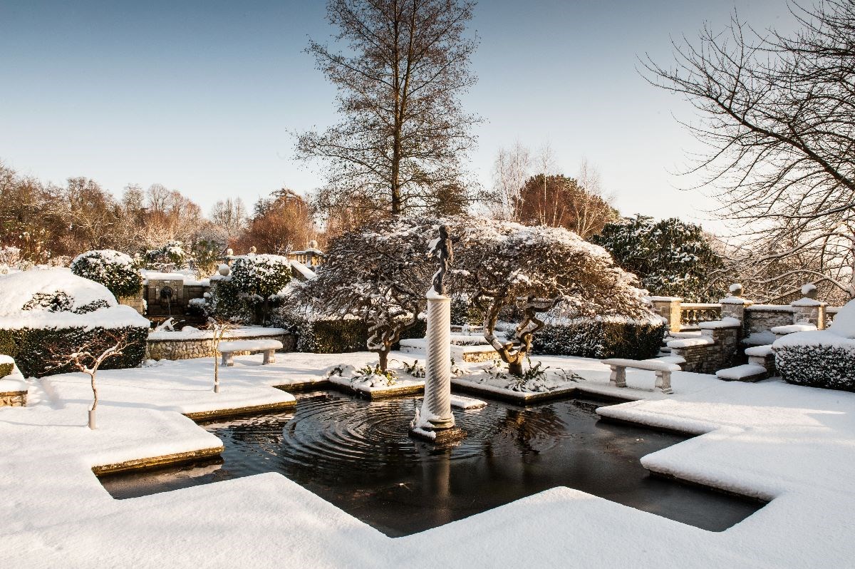 Winter Garden