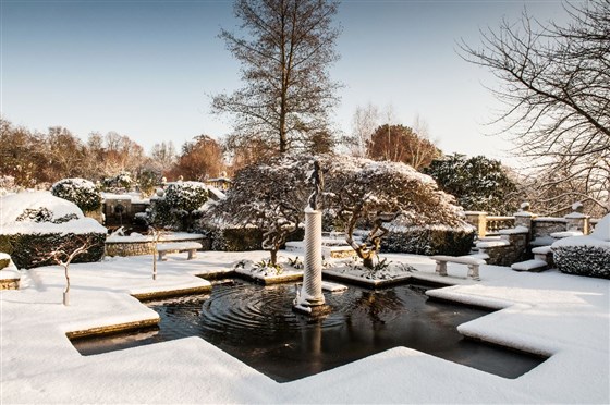 Winter Garden