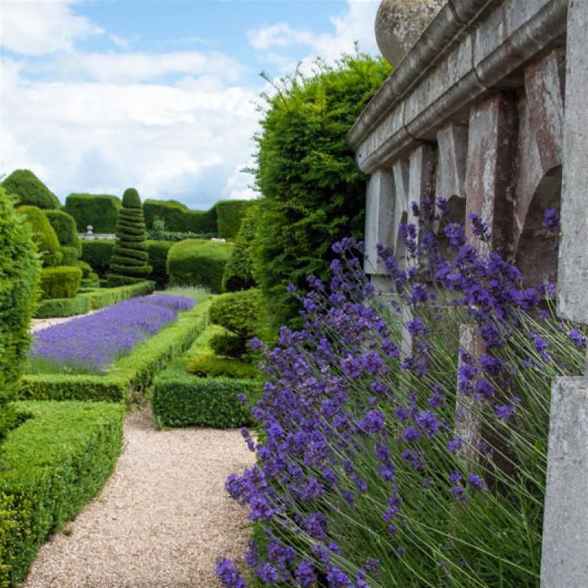 The Gardens