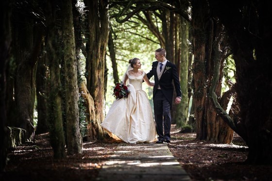 A walk amongst the Yew Trees