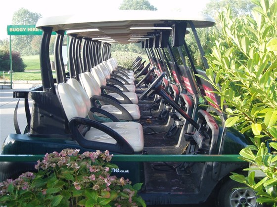Golf buggies