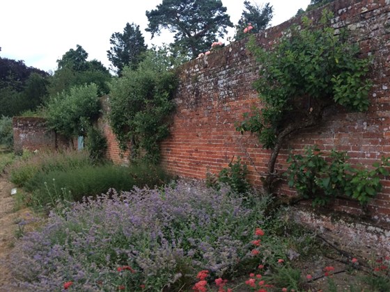 Cut flower border.