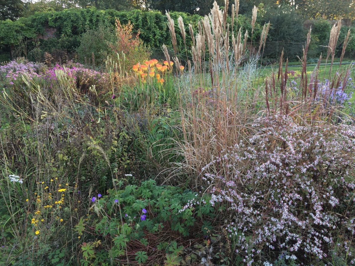 Ornamental garden in September.