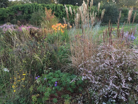 Ornamental garden in September.