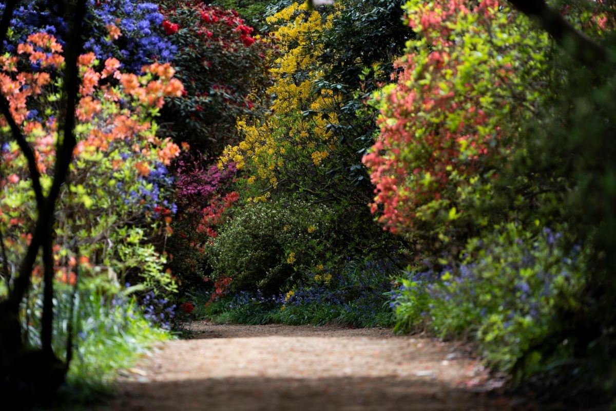 Spring path