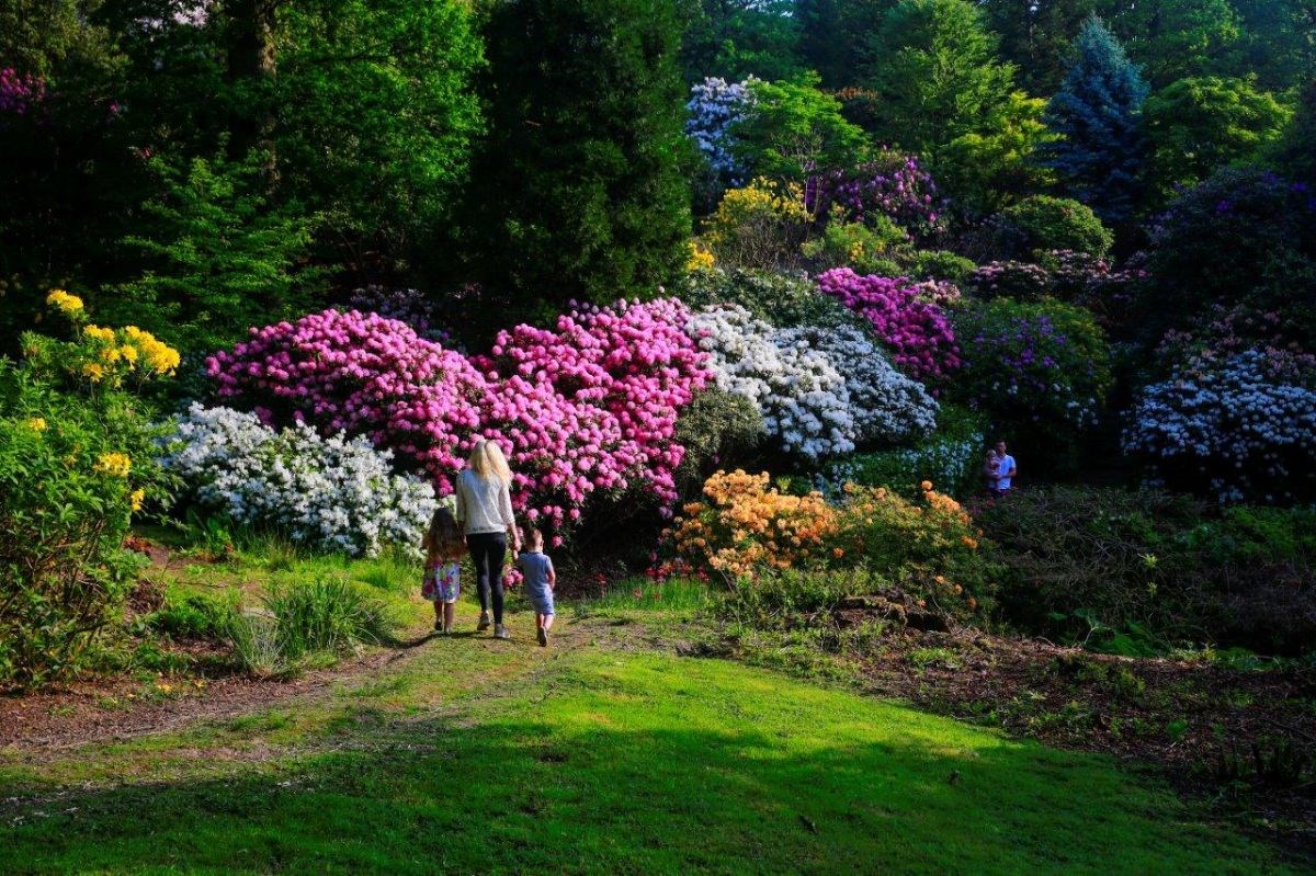 Spring family walk
