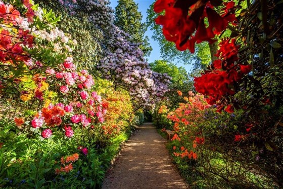 Outstanding spring display